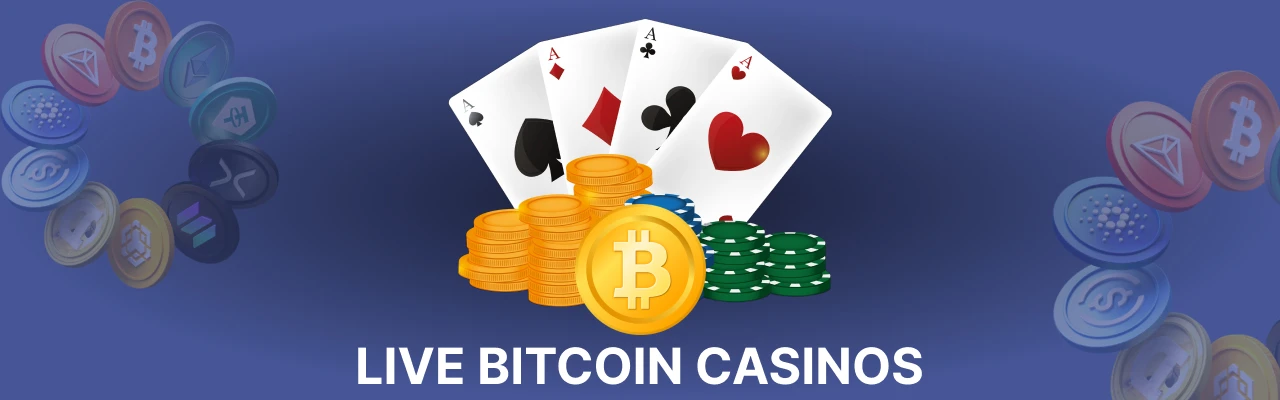 Best live bitcoin casinos